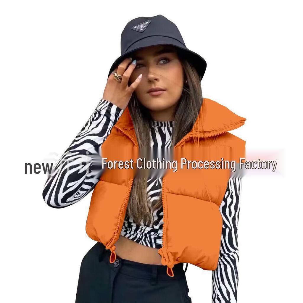 Women's Stand-Up Collar Zipper Vest: Warm Sleeveless Cotton Jacket for Autumn/Winter - Multi-Color Available