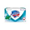Safeguard Mint Icy Refreshing Soap
