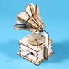 DIY Wooden Phonograph Science Kit for Kids - Build and Experiment