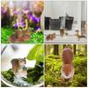 OUNONA Squirrel Figurine PVC Micro Landscape Miniature Garden Tabletop Indoor and Outdoor Cute Animal Figures 8-Piece Set, Decorations, Decor, Use,