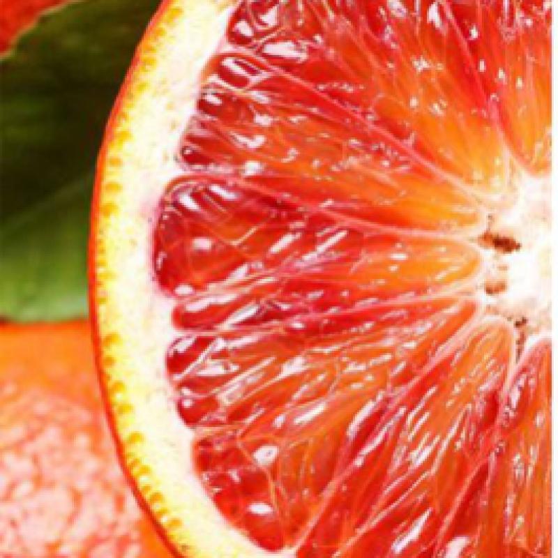 Elizabeth Arden [novinka] Elizabeth Arden White Tea Eau Fresh Edt 30ml