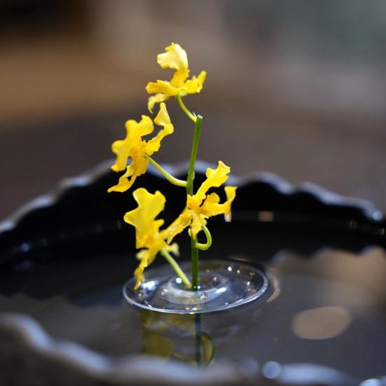 Floating Flower Stem Holder Clear Floating Floral Arrangement Holder Dynamic Rotation