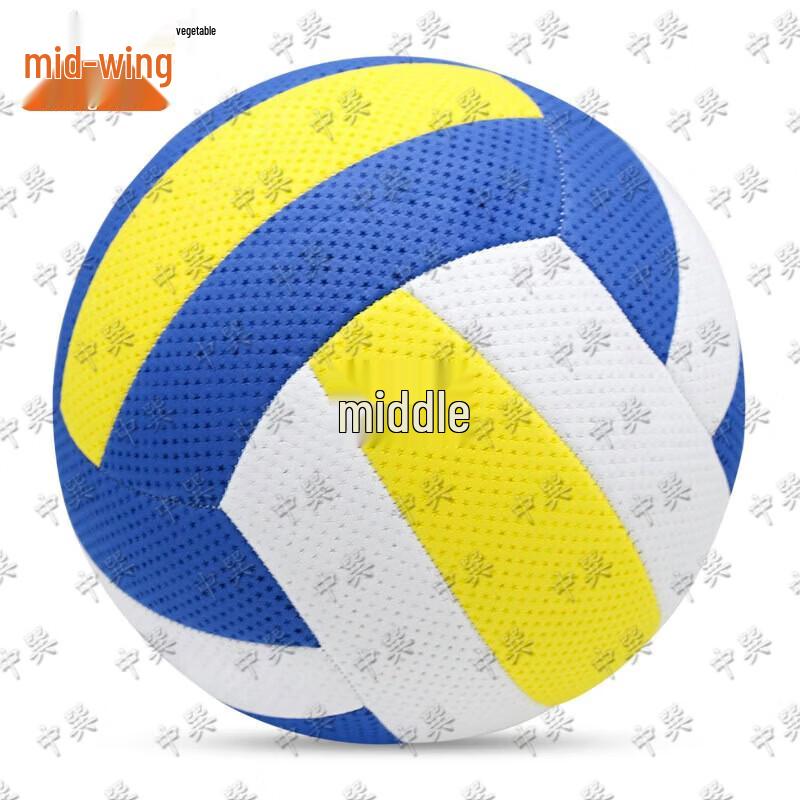 Size 5 Competition Air Volleyball