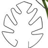 Newcomer Exclusive: Monstera Hydroponic Support Rod for Plant Shaping