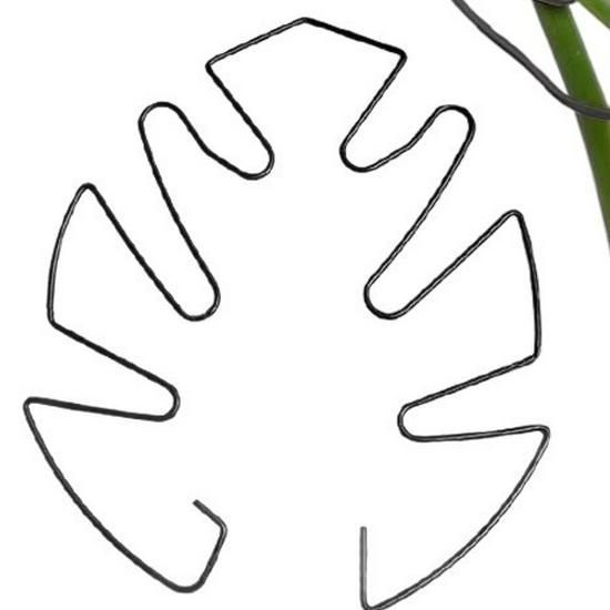 Newcomer Exclusive: Monstera Hydroponic Support Rod for Plant Shaping