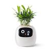 PLANTSIO Smart Pet Planter Robot Guidance Plant Care with Adorable Plant Companion with Rich Gesture Neat Desk Setup Gift Emoji, Interaction, (White)