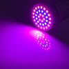 220V 3W 4W 5W LED Grow Light E27 Plant Flower Growing Lamp Bulb Indoor Greenhouse For Hydroponic Vegetable System Growth
