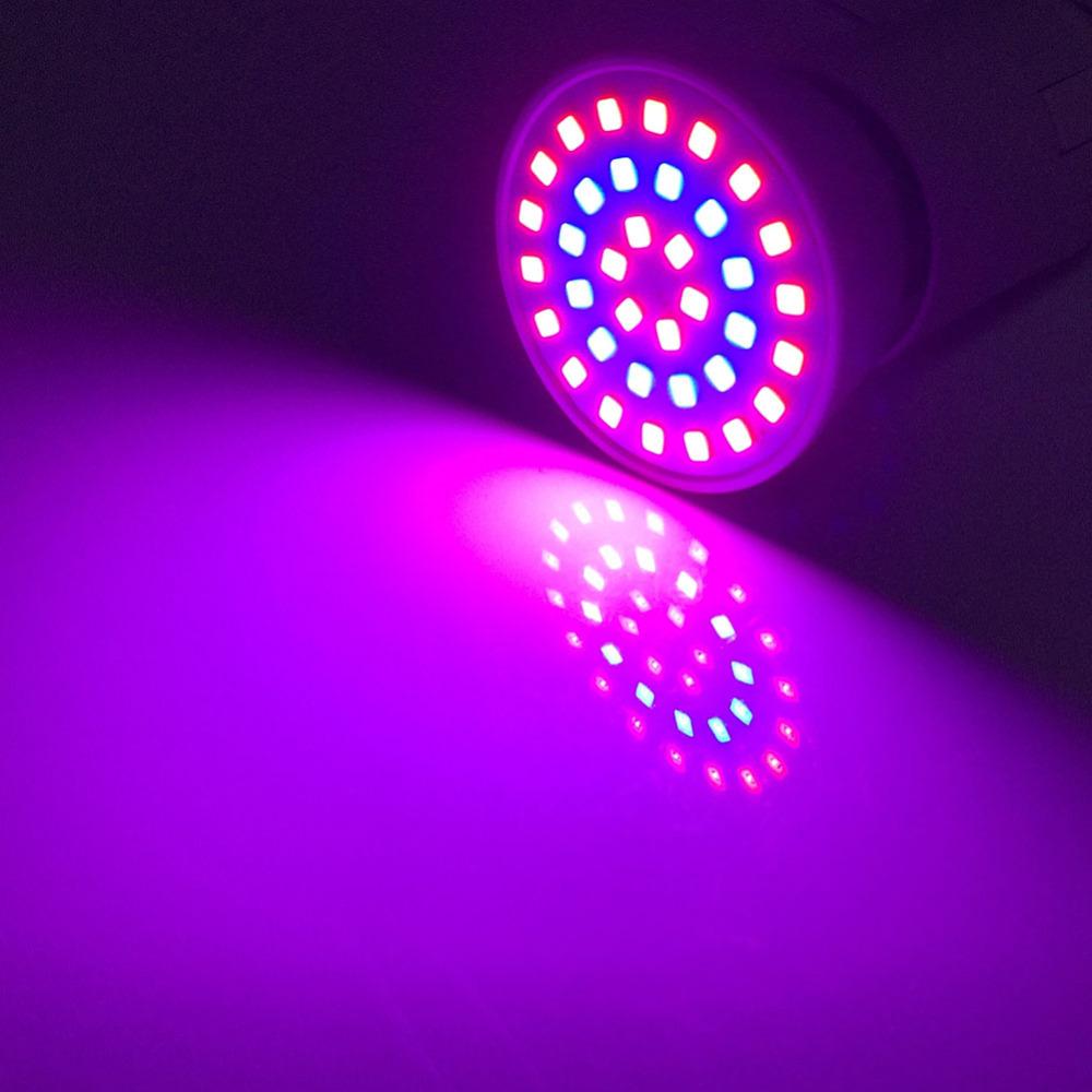 220V 3W 4W 5W LED Grow Light E27 Plant Flower Growing Lamp Bulb Indoor Greenhouse For Hydroponic Vegetable System Growth