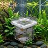 Detachable Fish Breeding Isolation Box Floating Guppy Breeder Box Fish Tank Divider  Aquarium