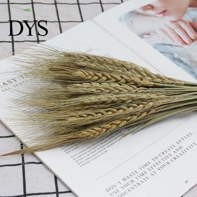 Hochzeitsdeko 25 Stück/Set Künstliche Blume Weit verbreitet Exquisite Verarbeitung Kein Falsches Welken Pampas Hafergras Getrocknet für Party