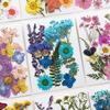 For Fun DIY Embossed Dried Flower Resin Fillings Real Flower for Home Decoration Nail Art Handicrafts Jewelry Making Crafts
