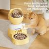 Visual Window Automatic Pet Feeder Large Capacity Pet Food Dispenser Cat Feeding Bowl  Multi-Pet