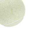 6Pcs Tennis Balls for Beginner Training for Racquet Sports Beginners Outdoor