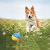 Toy Ball for Pets - Interactive Dog Toys  Jolly Ball  Herding Ball for Dogs - Dual Mode Design
