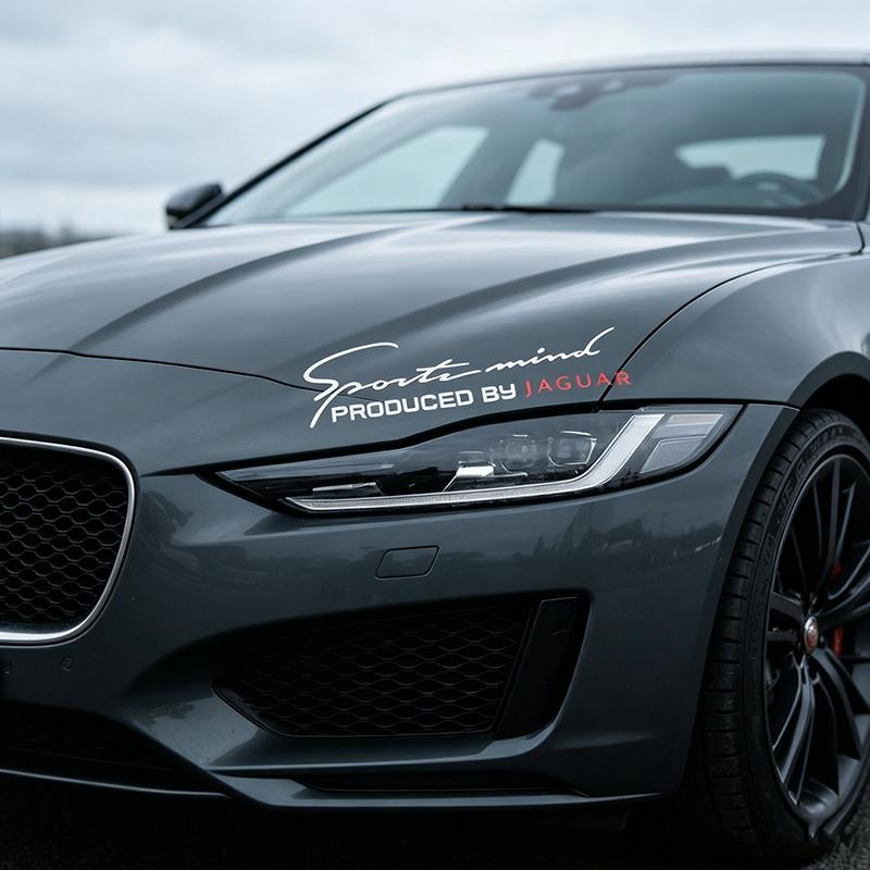 Decalque Decorador Sobrancelha Farol Dianteiro de Carro 3D Capô do Motor Design Esportivo Para Jaguar XF XJ XE S-Type F-Type X-Type F-Pace I-Pace E-Pace XFR XKR