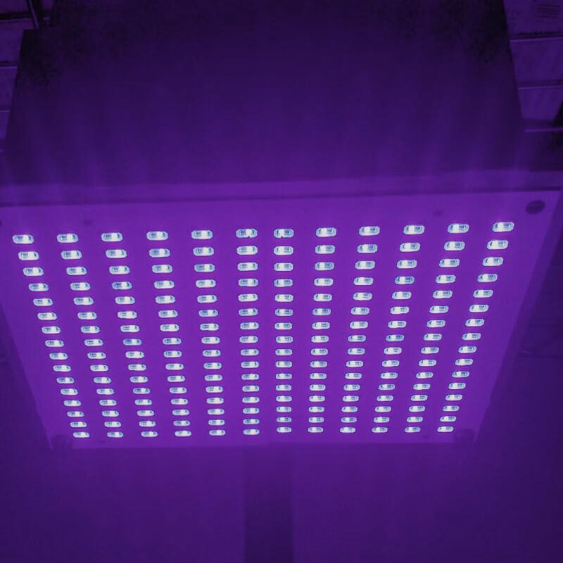 2835 UV LED for Disinfection, Sterilization, Curing, & Money Detection - 0.2W/0.5W Purple Light