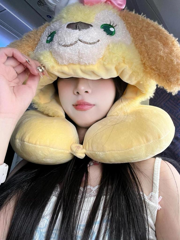 Cartoon Hooded Neck Support Plush Pillow & Toy – Portable Travel Comfort
