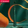 WT-301G Sonic Electric Toothbrush CN Plug (adapter Included)