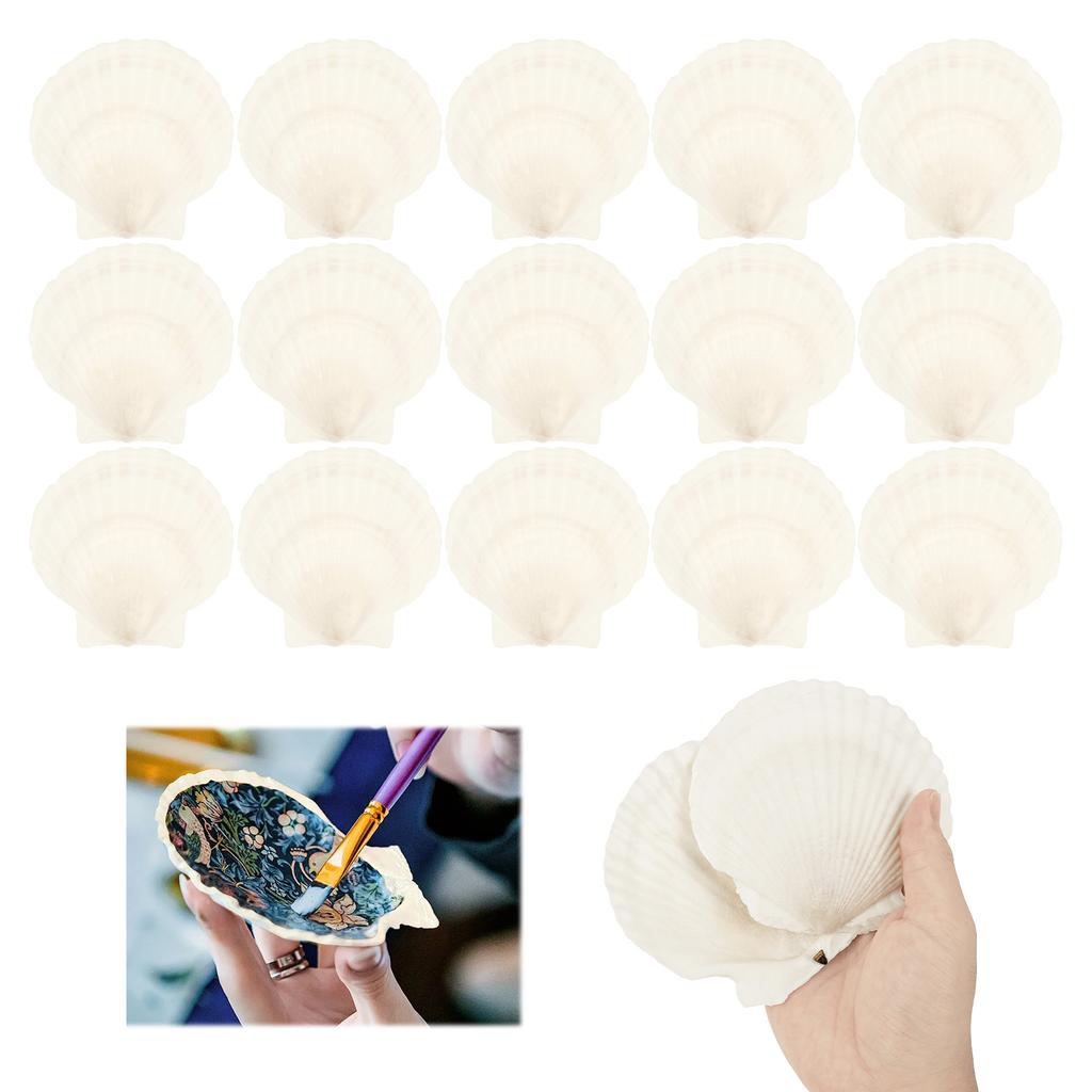 Natural Scallop Shells Shells For Desktop Ornament Handmade DIY Crafts Ocean Themed Party, Painting, and Wedding Decorations