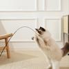 Colorful Insects Cat Teaser Stick with Bell Wooden Handle Replacement Head Indoor Interactive Kitten Spring Toy Cosas Para Gatos
