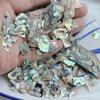 Handmade Natural Abalone Shell Fragments for Jewelry and Nail Art Design