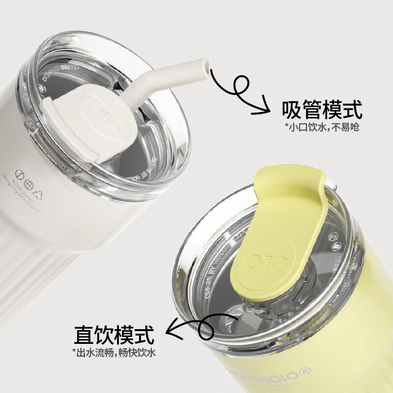 HOLOHOLO 316 Stainless Steel Insulated Tumbler with Straw