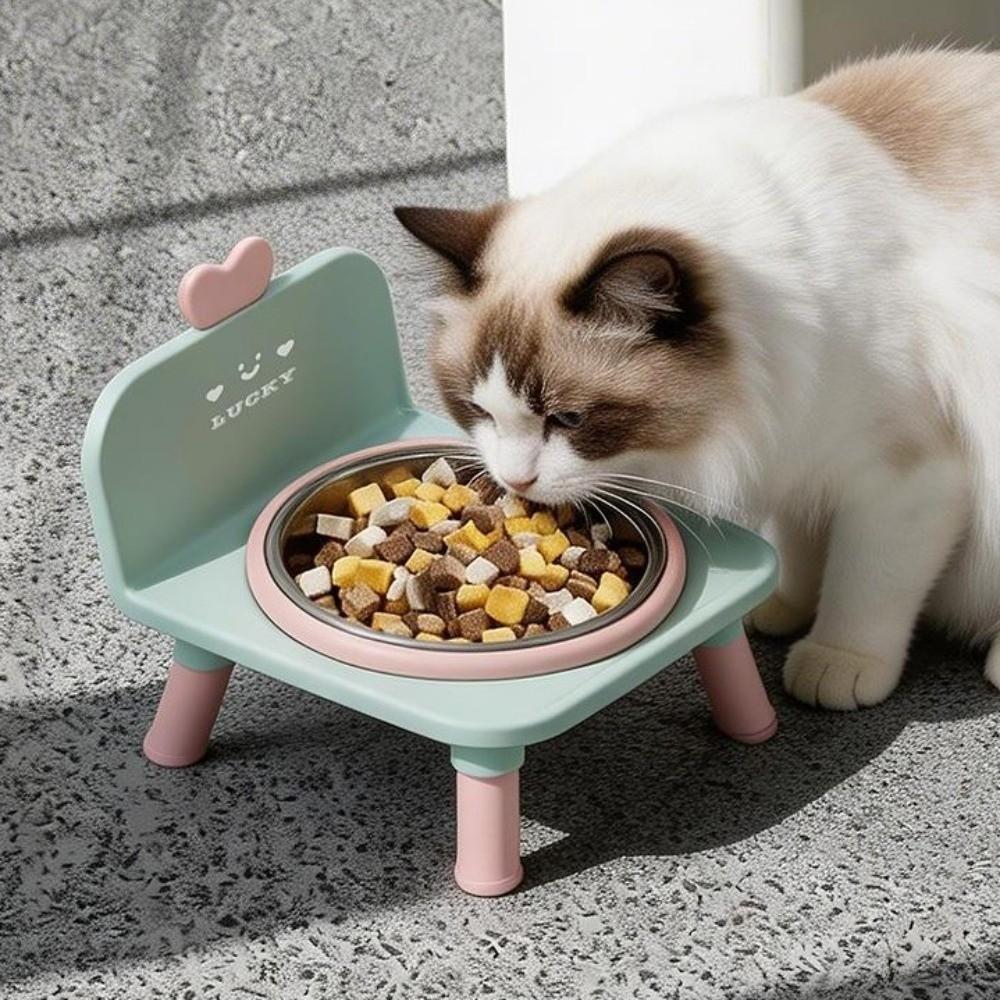 Hohe Hunde-Wasserschale Anti-Rutsch-Futter- und Wasserstation für Haustiere Erhöhter Futterspender für Haustiere Innenbereich