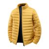 Men's And Women's Casual Solid-color Stand-up Collar, Fleece And Cotton Warm Long-sleeved Zipper Cotton Jacket