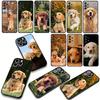 Phone Cover Golden Retriever Dog Pet Casing for Xiaomi Redmi Note 15 11 9 10 Pro Plus A5 9A 9T 10A 10C 9C NFC 15C 8T Case