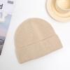Hat for Women In Winter Light Plate Warm Solid Color Knitted Hat Korean Style Student Cute Couple Melon Skin Landlord Wool Hat Men