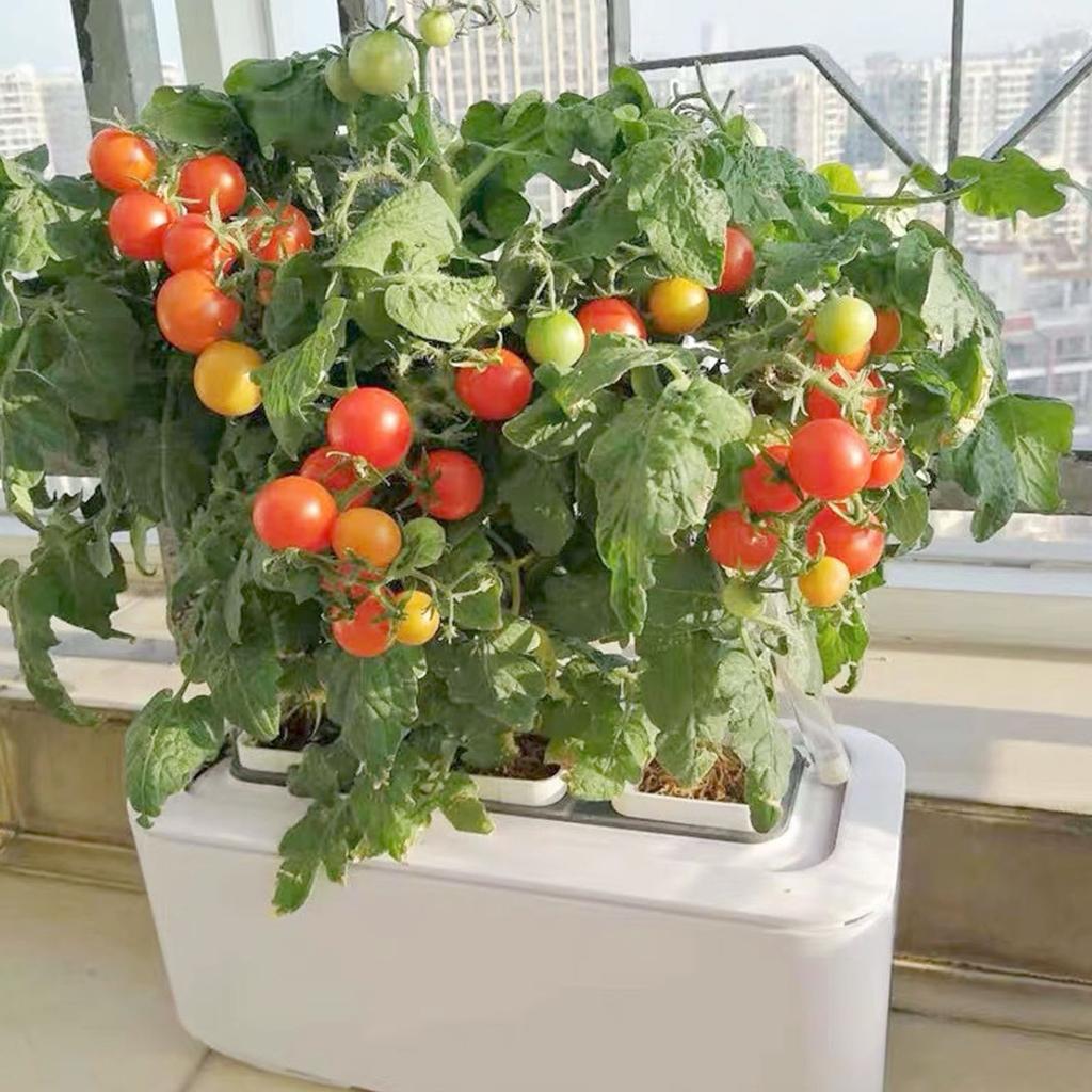 Self Watering Planter Automatic Hydroponics Growing System Smart Indoor Garden Planter for Home Flower Vegetable