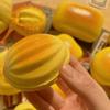Slow Rebound Sensory Squeeze Toys Simulation Design Calming Squeeze Toys  for Anxiety Relief