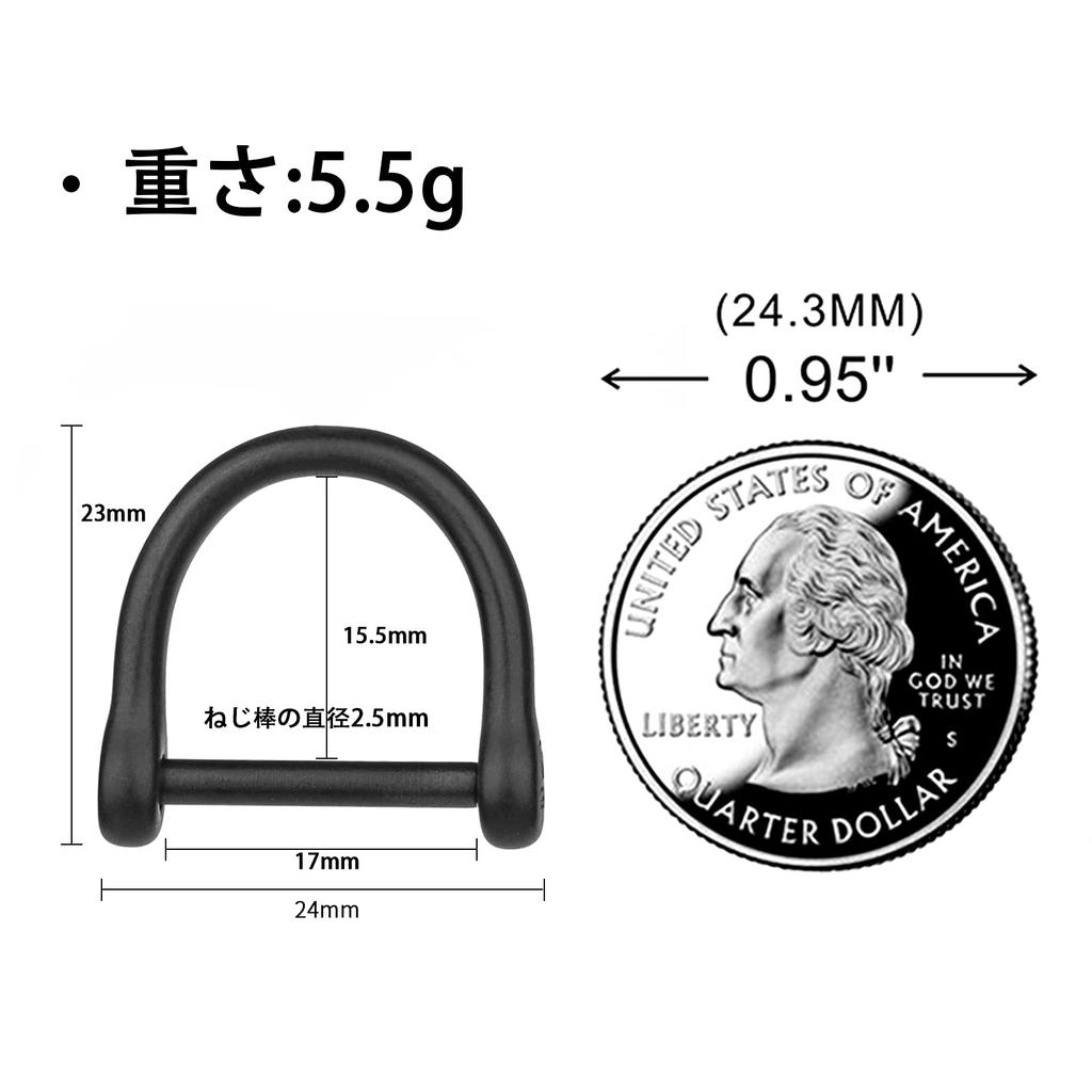 Carabiner Titanium Key Holder Stylish Key Clip Hook for Car Bicycle Motorcycle House Keys Present Gift 1 [FEGVE] (BK1S/Black + D-Ring/Black pc)