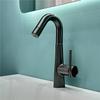 TLXT Dopamine Series Pull-Out Single Cold Basin Faucet