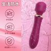 Electric Electric Electric Vibrator 10 Vibration USB Popular Massager for Adult Toy Vibrator, Massager, Rotor, [Double-Ended Vibration, Modes, 40°C