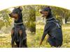 Large Dog Tactical Reflective Vest & Leash Combo