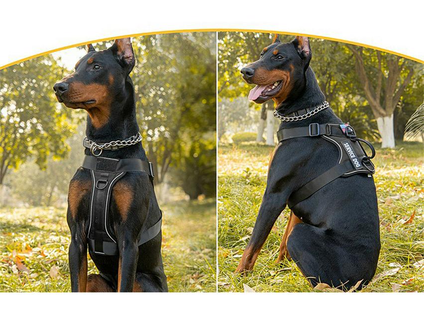Large Dog Tactical Reflective Vest & Leash Combo