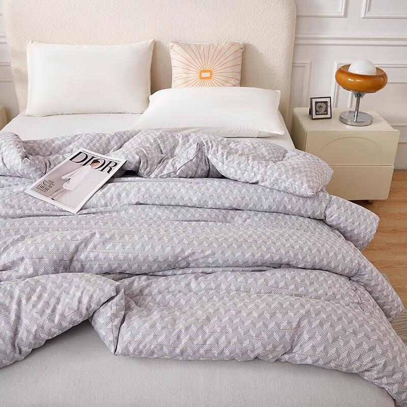 Tangna Home Antibacterial Four Seasons Quilt