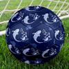 1pc Ocean Whimsy Theme Soccer Ball Football, Size 5, Lightweight PVC, Outdoor Training Soccer Ball,Gift j60411