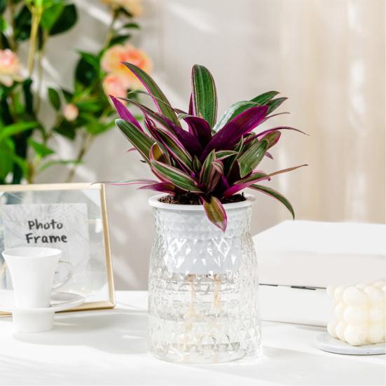 Self-Absorbing Vase Transparent Water Level Indicator Embossed Self-Watering Planter with Breathable Bottom for Indoor Plants Succulents Herb
