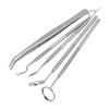 5pcs Professional Oral Health Care Pick Tools Stainless Steel Teeth Cleansing Calculus Remover Tool