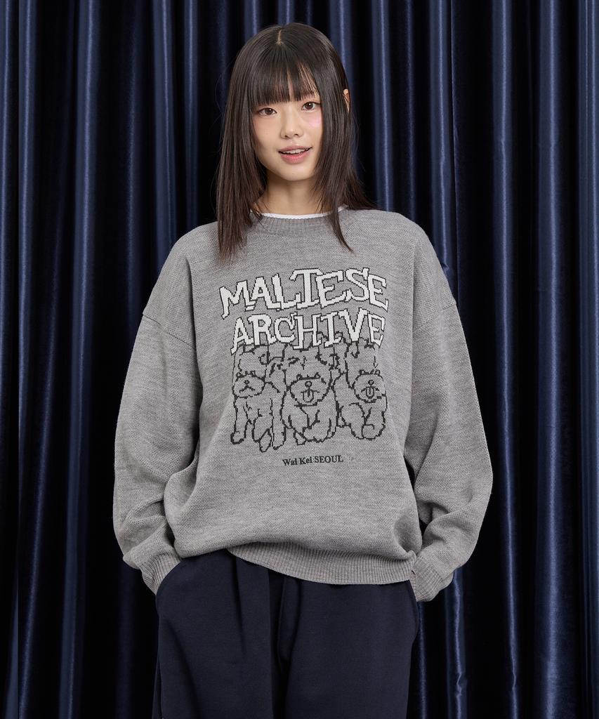 WAIKEI Maltese Archive Line Graphic Knit Ver.2 Gray