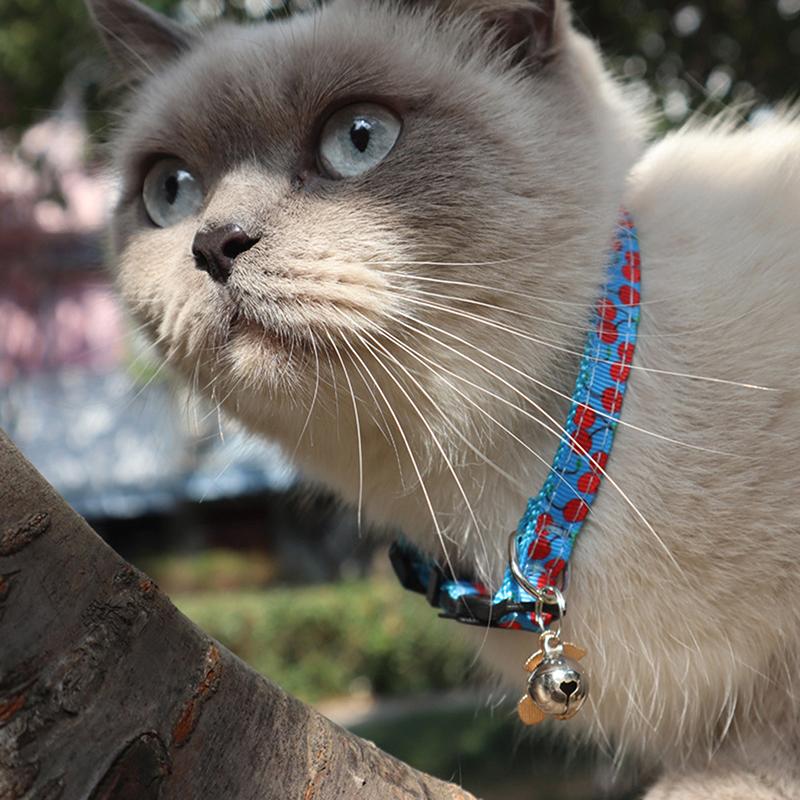 Cute Pet Cat Collars With Moon Star Pendant Adjustable Puppy Kitten Necklace Fruits Pattern Cats Rabbit Collars With Bells