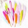 50PCS Colorful Natural Goose Feathers Natural Feather Colored Feathers  DIY Home Crafts