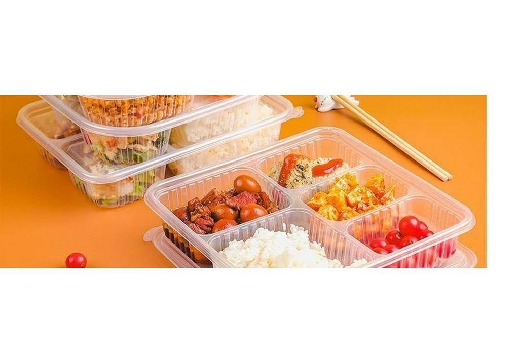 Disposable Multi-Compartment Lunch Box, Bento-Style Food-Grade Tray