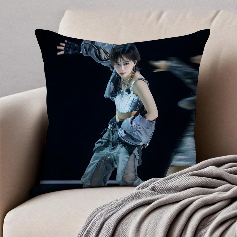 Popular fashionable Chinese singer DDanyLee Cushion Cover Pillowcase Antidustmite Invisible Zipper Short Plush Sofa Cushion