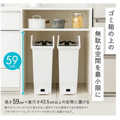 Asvel Trash Can with Lid, Double-Opening Pedal, Under-Counter Storage, 30L, Black, Hygienic, A6303