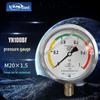 LANL YN100BF Stainless Steel Radial Shock-Resistant Pressure Gauge (CN Version)