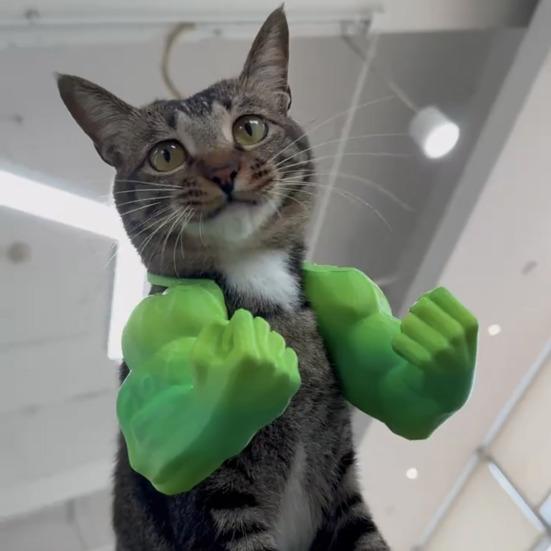 2Pcs Cat Muscle Arm 3D Printed Funny Cat Neck Arm with Muscle Superhero Cosplay Costume Funny Pet Photography Props Birthday Party Supplies