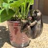 Frog Plant Pot Decoration Resin Easy to Install Statue Vintage Frog Ornament for Garden Patio Flower Pots